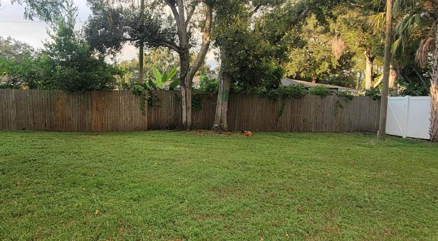 Customer yard before rendering