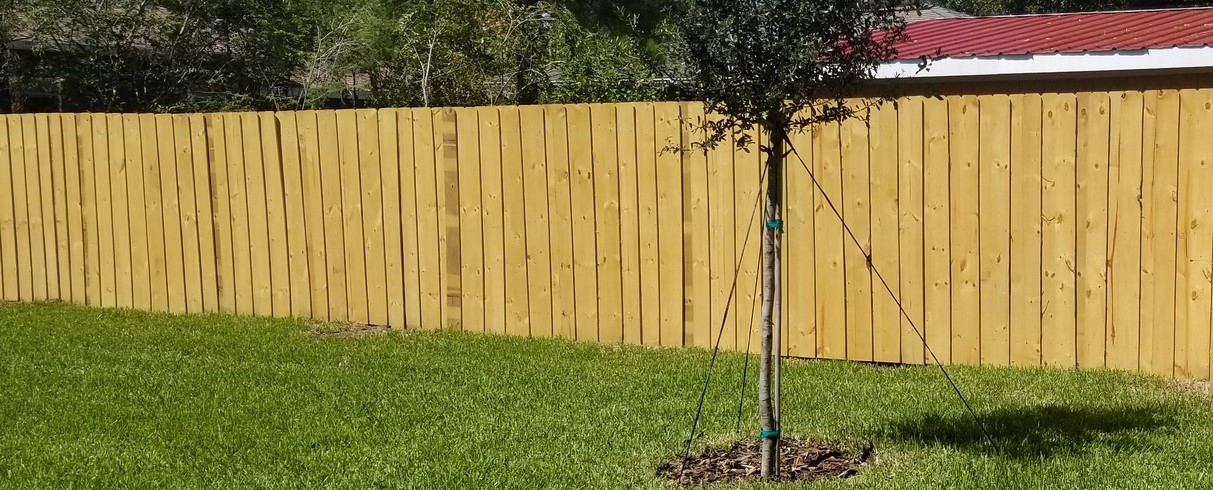Wooden board-on-board fence with natural finish
